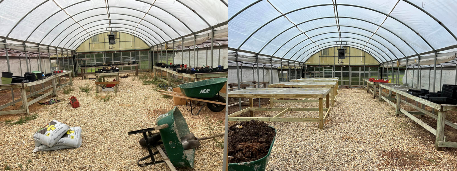 Left: Inside of an untidy greenhouse with wheel barrows and weeds. Right: Inside of a greenhouse after everything has been cleaned and organized.